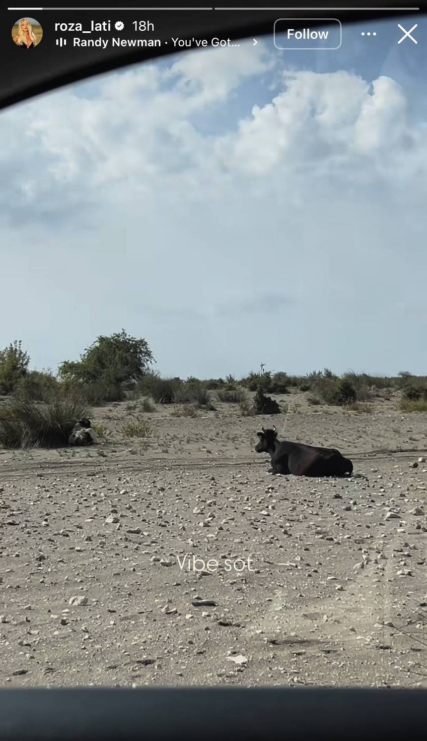 Roza Lati dhe Xhonatan Islami po përjetojnë një krizë në çift? 2 IMG 3799