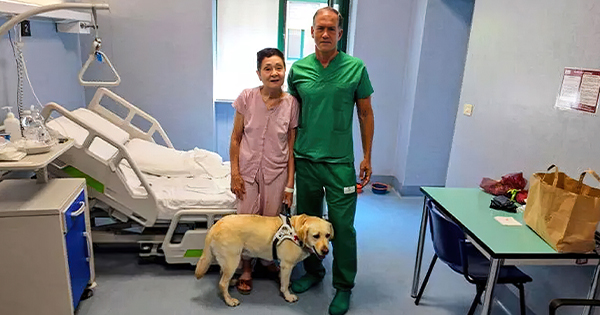 Arritje historike në mjekësi: Mjekët italianë i rikthejnë shikimin pacientes